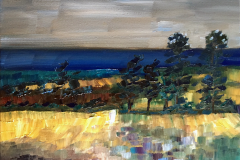 Summer fields, Auchmithie  - Fiona Forrest Boyle