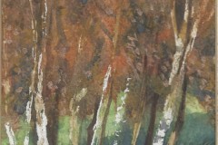 Liberkowska - shades of autumn