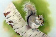 Itâ€™s not easy being grey  - Moira Collet