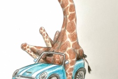 Sheila-West-1B85B9E0-6977-492B-88B4-6412EF6F5636