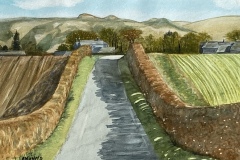 Sheila-West-1DDE6D10-56E0-4352-96BB-426B55C8EFFE