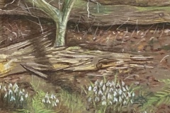 Sheila-West-4CCCD032-927D-4084-830D-0E51E551EFB9