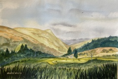 Sheila-West-80F74943-05B7-48C3-8E06-E95699F2201D