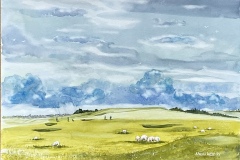 Sheila-West-8BFC4BB2-746C-4C49-8E12-D92C12E05099