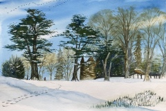 Sheila-West-8EBE3977-224A-495E-80D3-495701FD9430