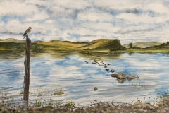 Sheila-West-AB337833-0FDD-4EFD-A776-74B688122354