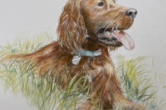 Sheila-West-BECFB1FD-45F4-4AEA-B74D-2A755AC59A9A