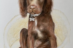 Sheila-West-F5864683-7AD7-487B-9CE7-0852C4EB50DA