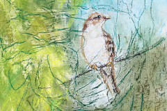 Nesting'  - sheila garden