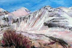 393b - Sheila Garden