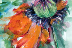 396f - Sheila Garden